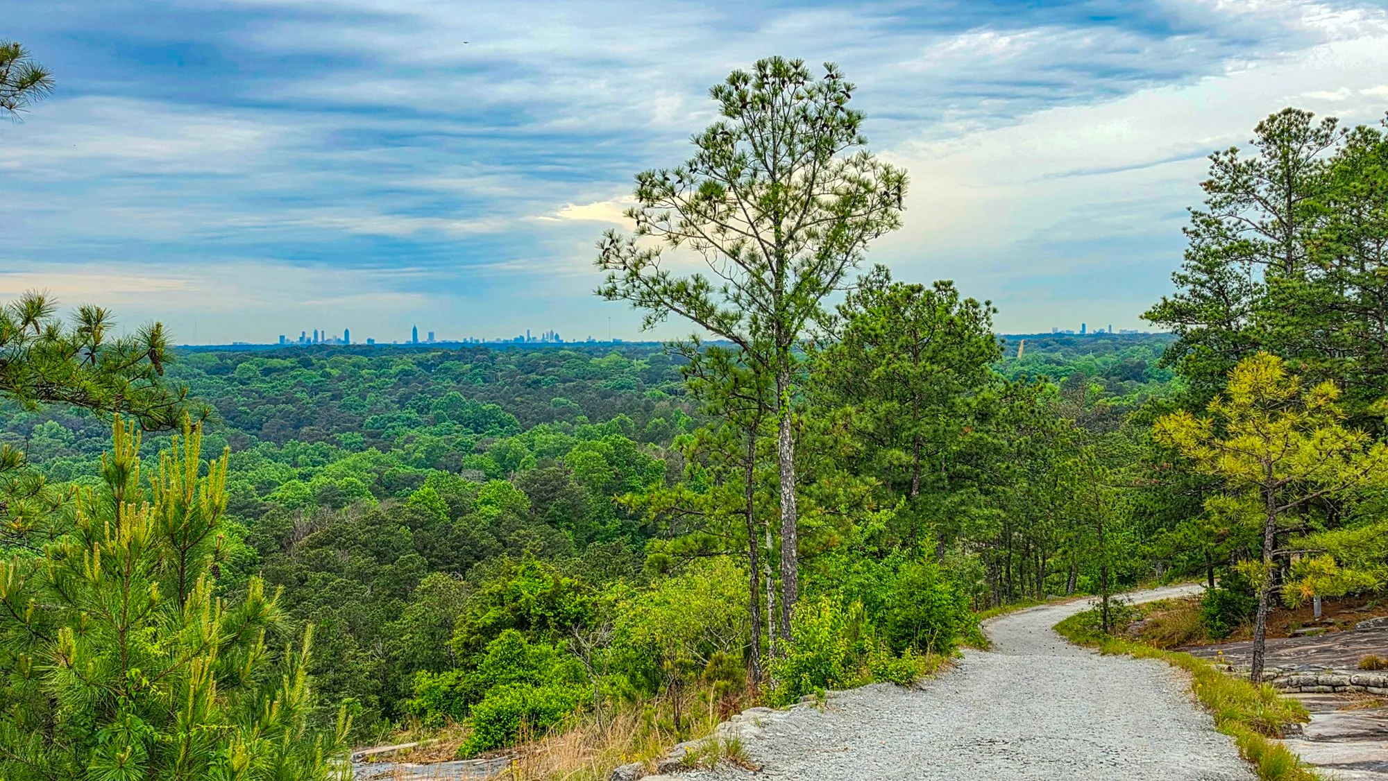 The Atlanta skyline on the horizon beyond miles of green canopy, seen from the gravel summit road between pines, under a streaked white sky
