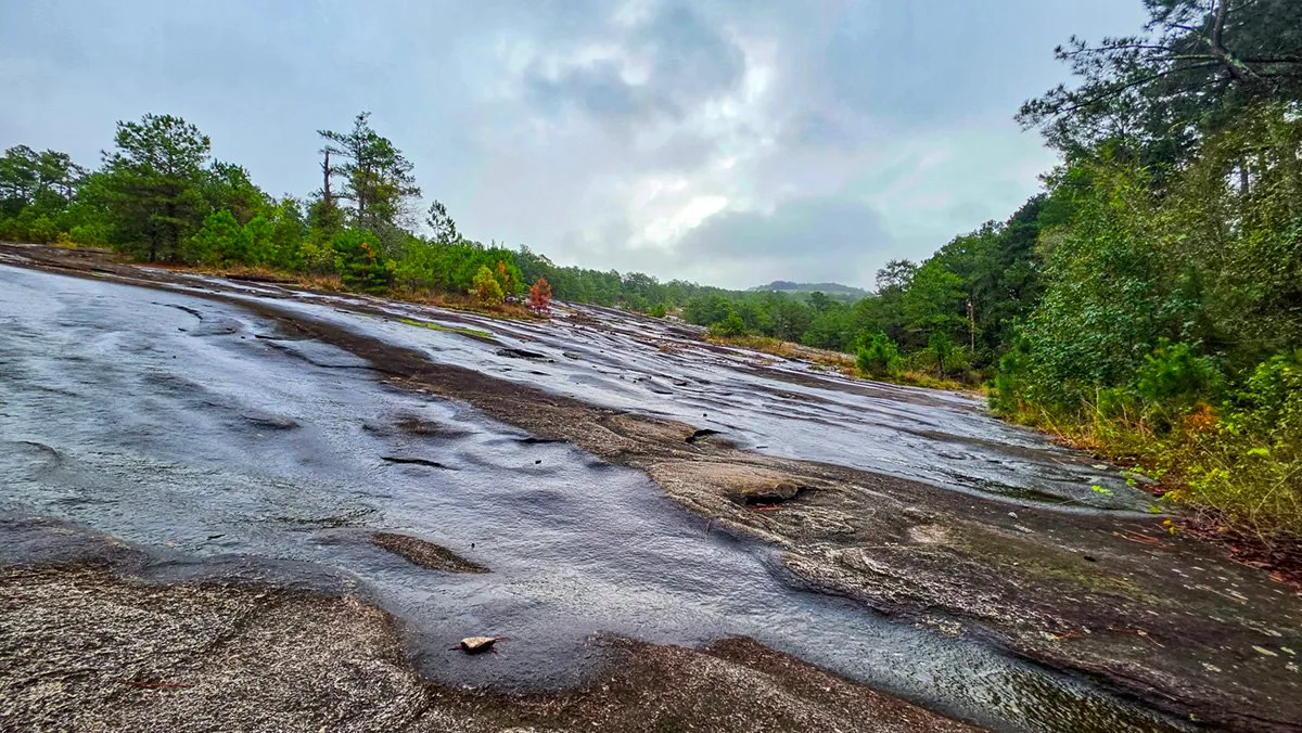 Rainwater running in sheets down bare granite, with pines and shrubs along both edges under low gray cloud.