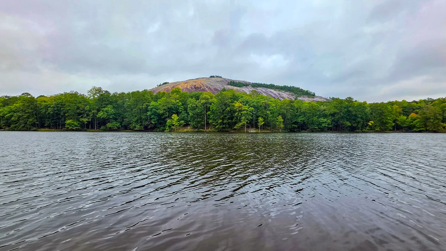 Stone Mountain's bare granite dome above a line of green trees across the lake, under a flat gray sky, the water rippled by wind.