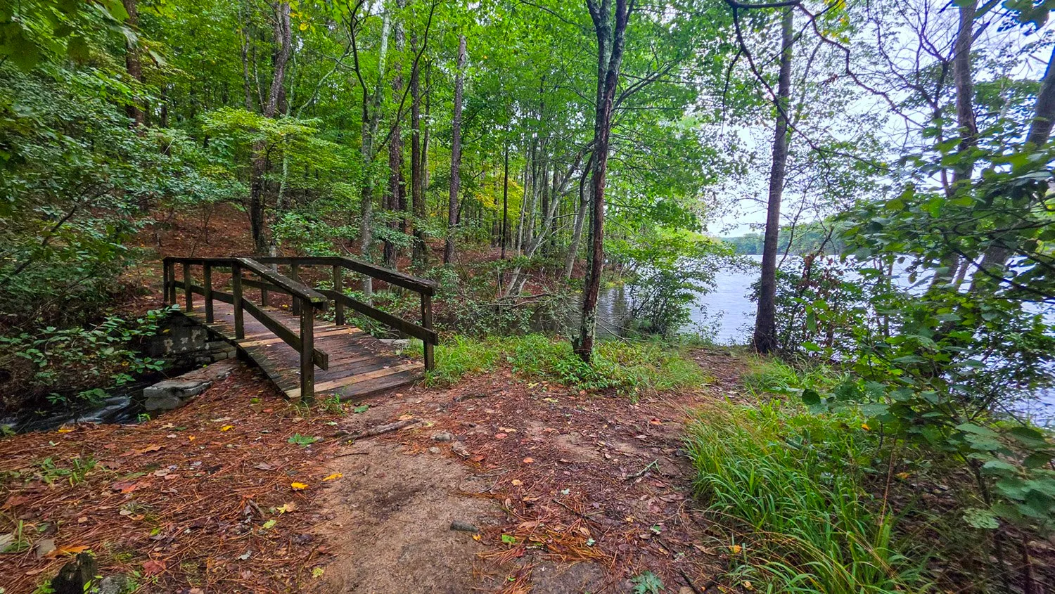 A small wooden footbridge over a running stream in green woods, the lake showing through the trees on the right.