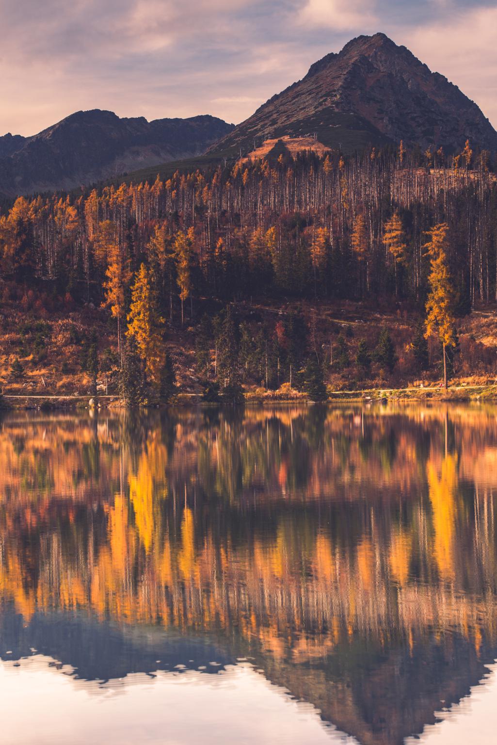 autumn-colors-on-forest-over-lake-in-high-mountain