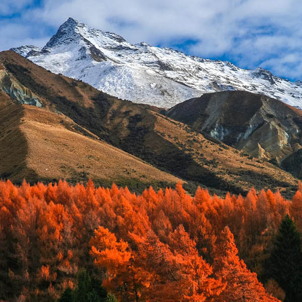 new-zealand-mountain-scenery